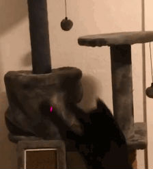 微信图片_20200521171128.gif