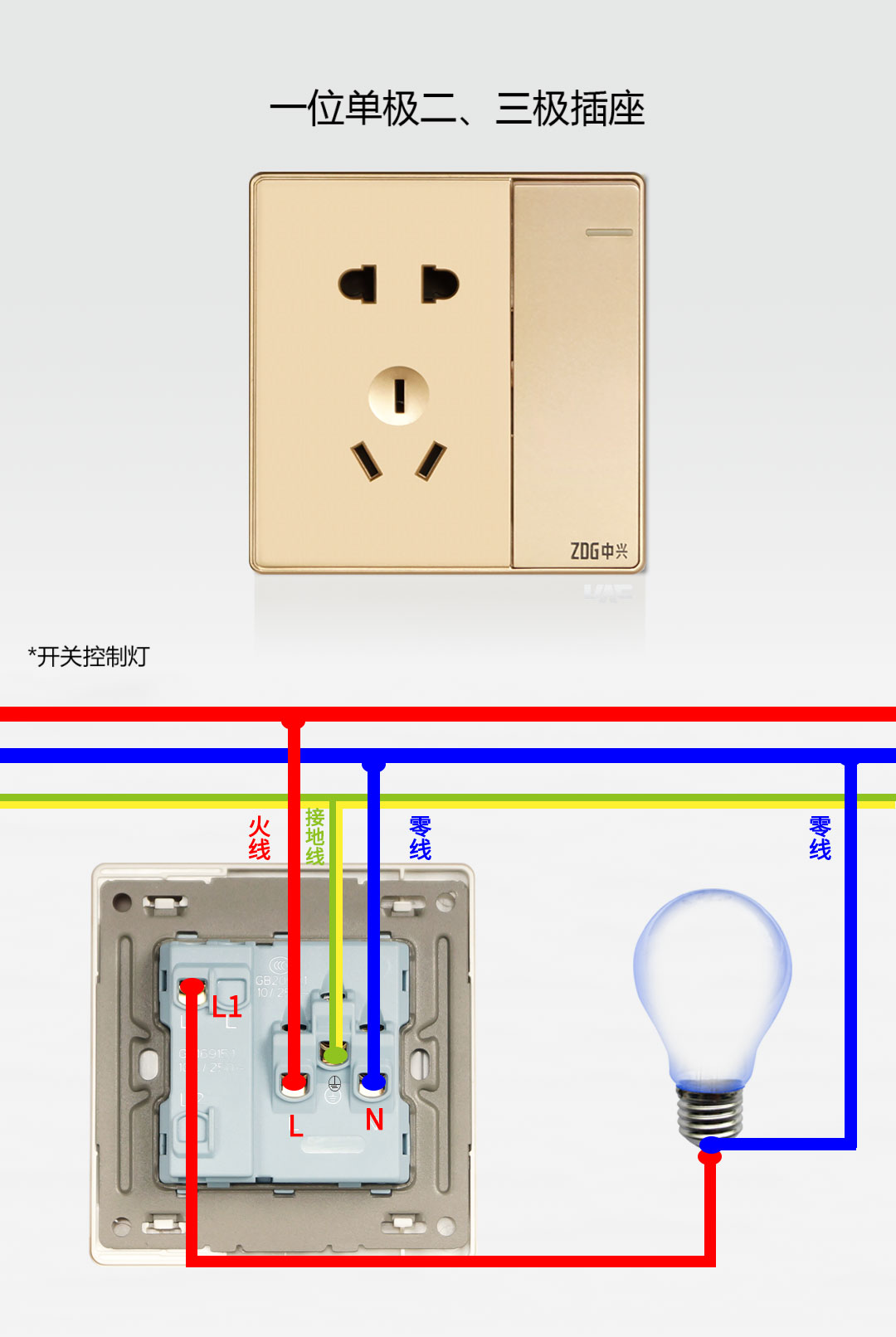 一开单控五孔-控制灯.jpg
